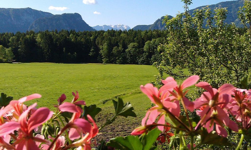 Gaestehaus Restner - Chiemgau Karte Inzell Ngoại thất bức ảnh